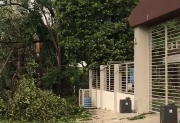 El puertorriqueño mostró la suerte que tuvo pues sólo sufrió de algunos vidrios rotos y árboles caídos, a diferencia de varios de sus paisanos que se quedaron sin hogar.