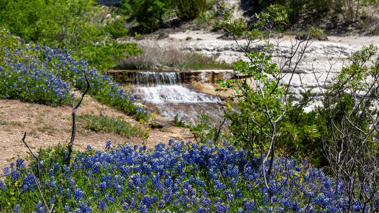 El parque Cleburne State Park ofrece un lago, un área de escalada y kilómetros de senderos.
<br>