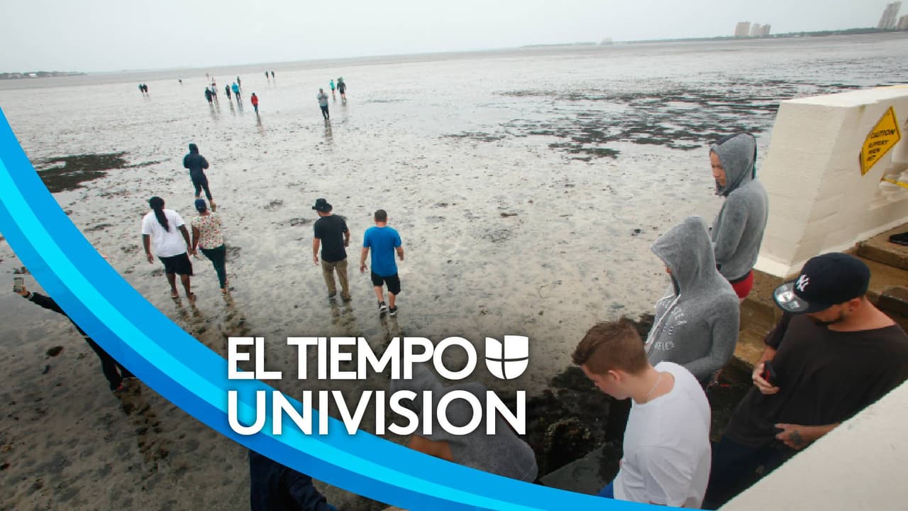 Cómo prepararte en caso de que un huracán impacte Florida central