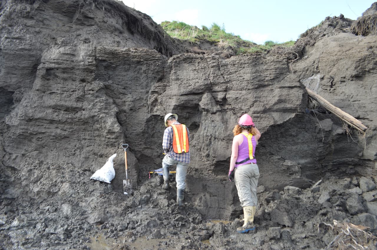 Entre estas cenizas que datan de 80,000 años se encontró el caribú. Los expertos intentarán reconstruir su dieta analizando la composición de sus restos.