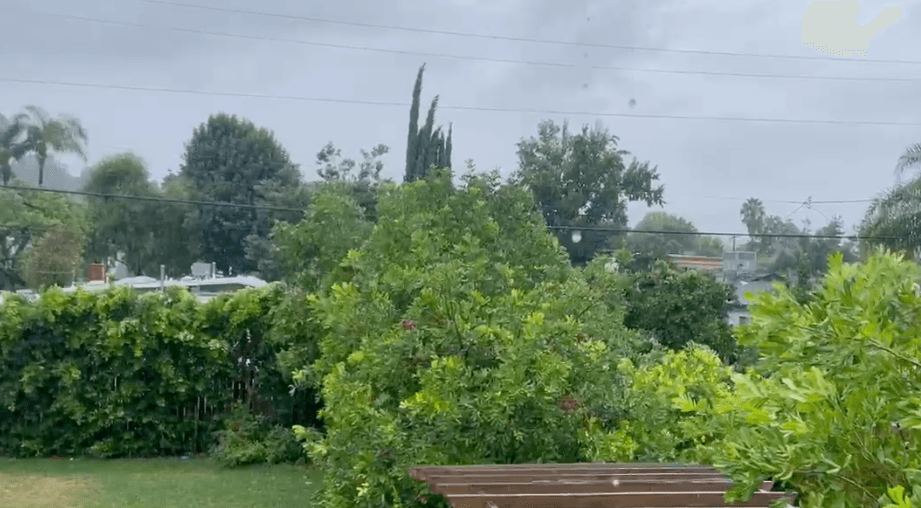 En 
<b>Woodland Hills</b> llovía, pero no con la intensidad que han estado sintiendo desde temprano otros sectores.