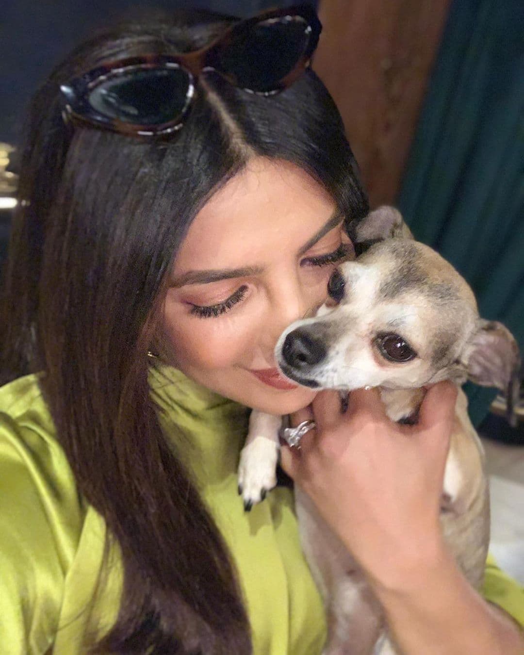 Priyanka y Nick han demostrado que quieren mucho a sus mascotas y esto se puede comprobar con las fotografías que publican en redes sociales.