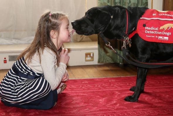 Los padres de Cerys quedaron asombrados cuando en la primera noche Wendy, su perro, les avisó de tres cambios de azúcar de su pequeña, algo de lo que ellos no se darían cuenta sin la ayuda de este perro.