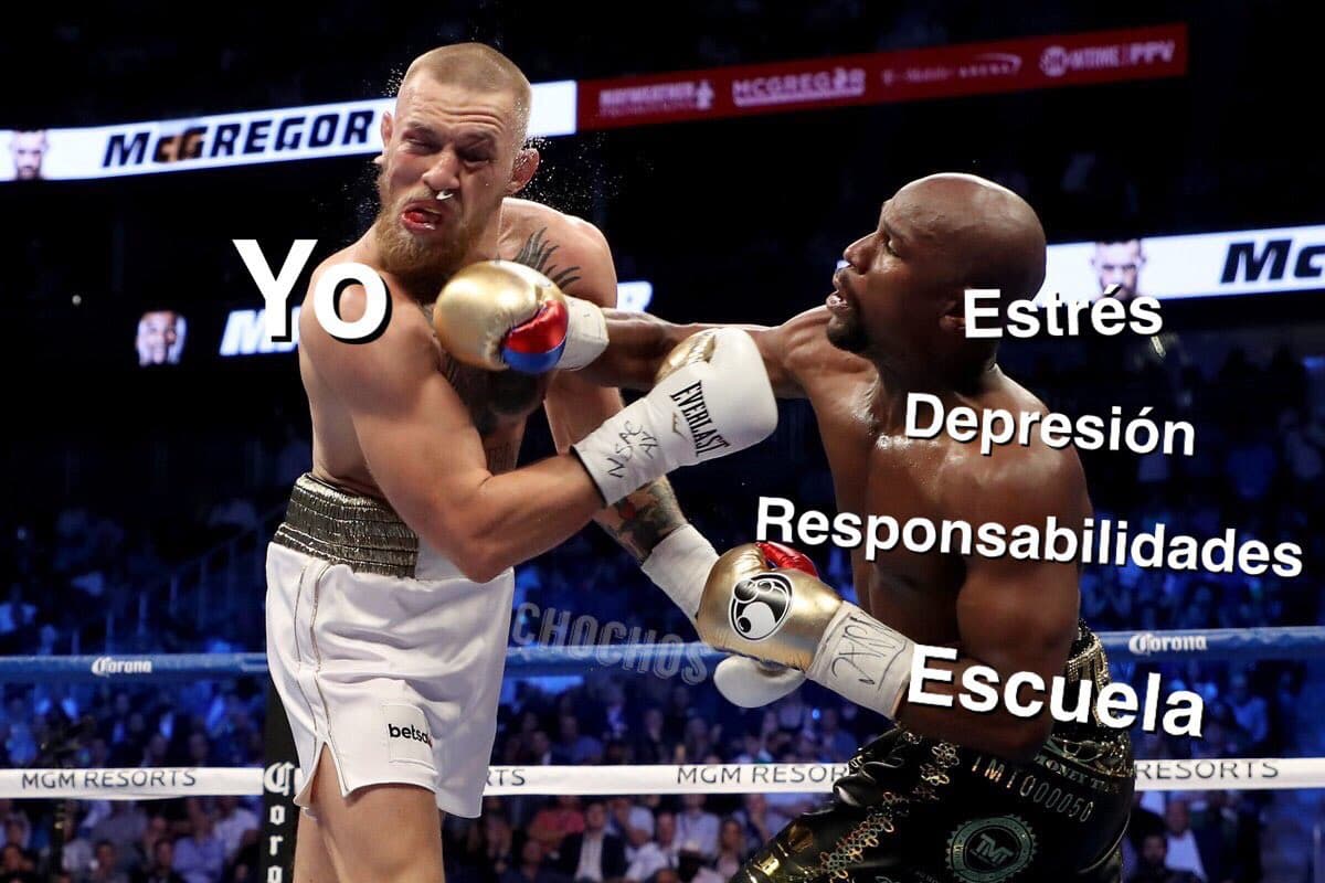 Mucho dinero y poco boxeo. Los memes destrozaron a los dos combatientes en una de las peleas más esperadas de todos los tiempos.