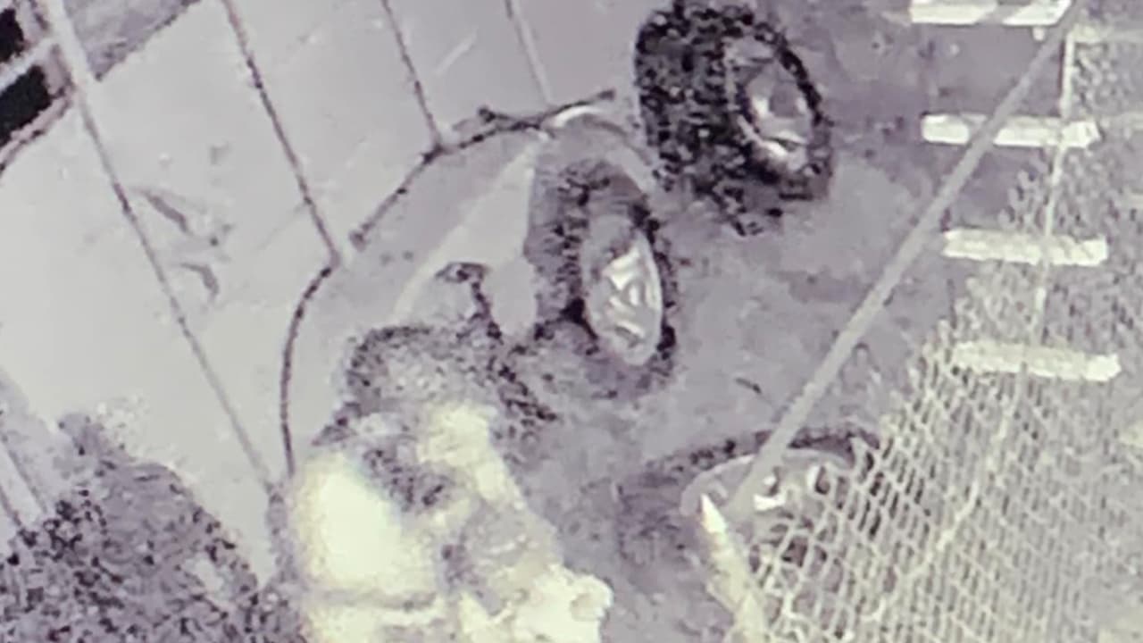 John, el esposo de la mujer fue a revisar ante los ladridos de su mascota y encontró a una bebé de 9 meses abandonada dentro de un cobertizo, según relató la señora McClain en una publicación en su cuenta de Facebook.