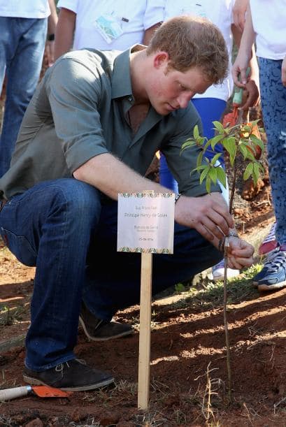 El príncipe dobló las mangas de su camisa y con sus propias manos plantó un árbol.