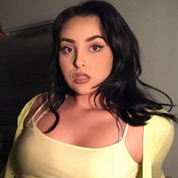 El show que seguirá la vida de estas jóvenes se estrenará a mediados de diciembre y busca presentar una de las tradiciones latinas más arraigadas, pues la cantante considera que siempre ha sido prioridad enamorar a otros públicos con las cosas que la llenan de amor y de orgullo, y la tradición de los 15 años es una de ellas, dijo a People en Español.