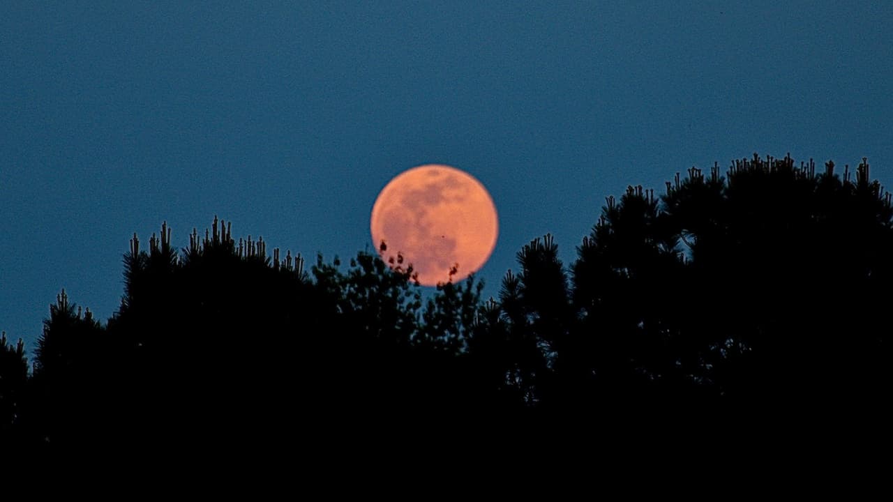 La superluna "rosa" iluminó el cielo nocturno en Carolina del Norte.