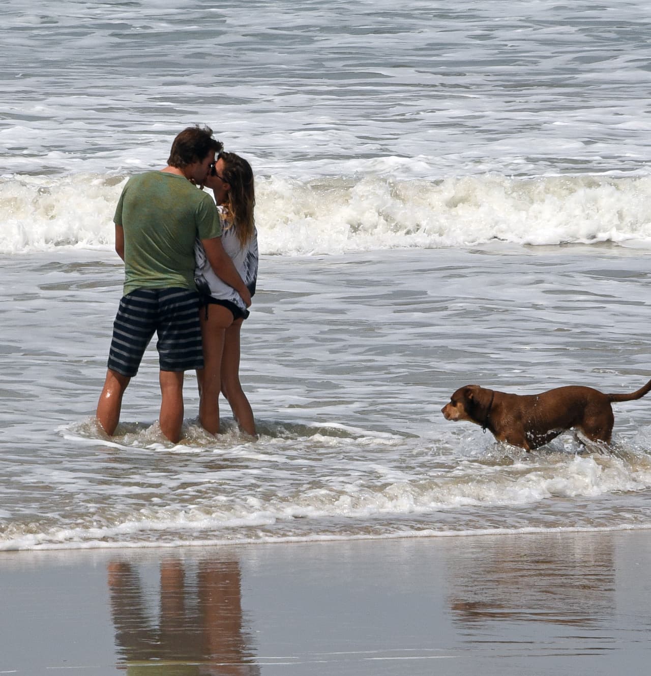 Hasta su perrito se quedó admirando el momento tan tierno.