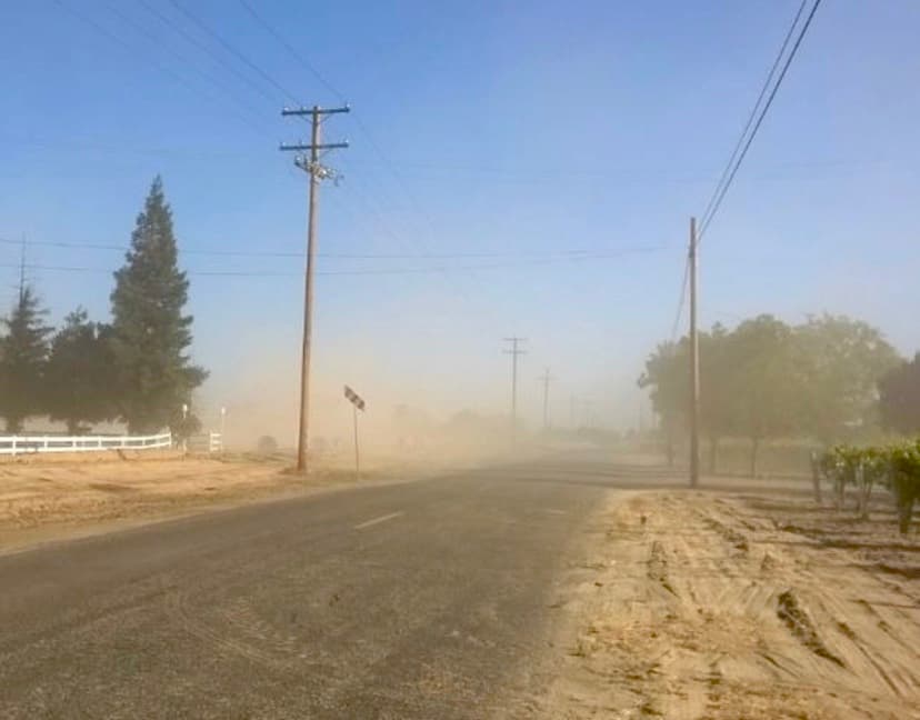 La mezcla de humo y polvoeleva el riesgo de contraer el virus de la fiebre del valle