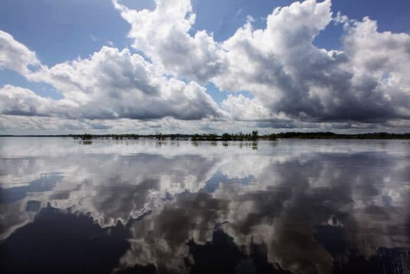 Unos y otros se amparan en la "legitimidad" y el "derecho" que les brinda un tramposo sistema político economista y pseudodemocrático que decidió por todos los habitantes del Planeta (humanos y no humanos) que la máquina vale más que la vida, agregan.