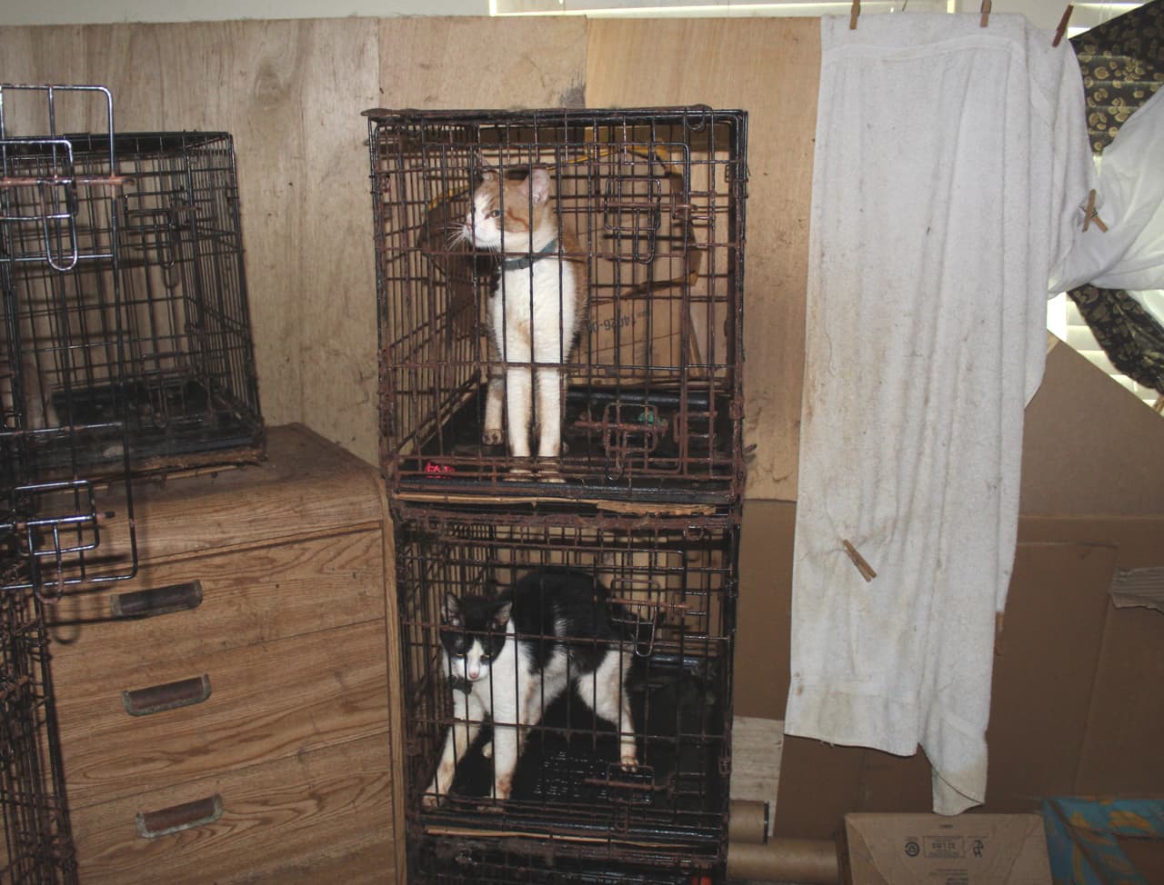 Travis Crisman, vicepresidente de servicios de refugio de la SPCA de Houston, enfatizó la importancia de la colaboración comunitaria:
<br>
<br>“Compartimos este tipo de casos de maltrato porque
<b> son un poderoso recordatorio de cómo dependemos de la comunidad para denunciar los casos de negligencia y maltrato animal</b>, de modo que podamos responder rápidamente cuando los animales se encuentran en peligro”.
<br>