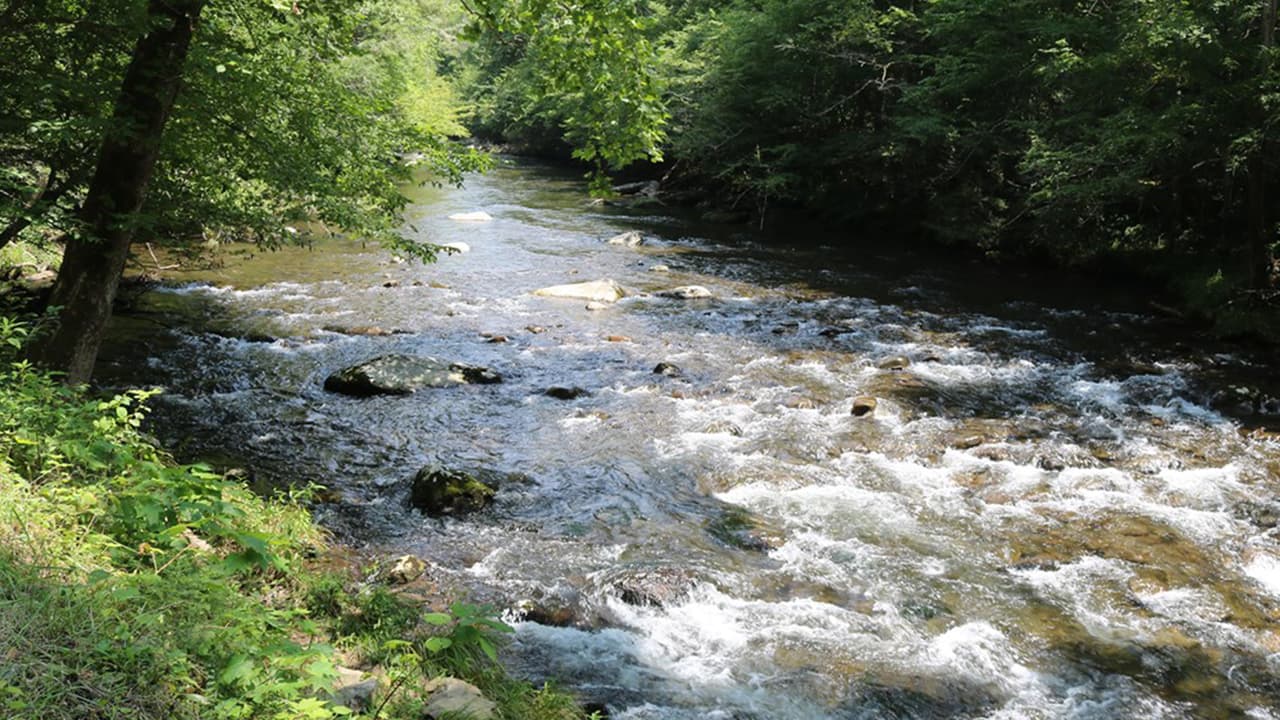 Hispano muere ahogado luego de rescatar a un niño en un río de Carolina del Norte 