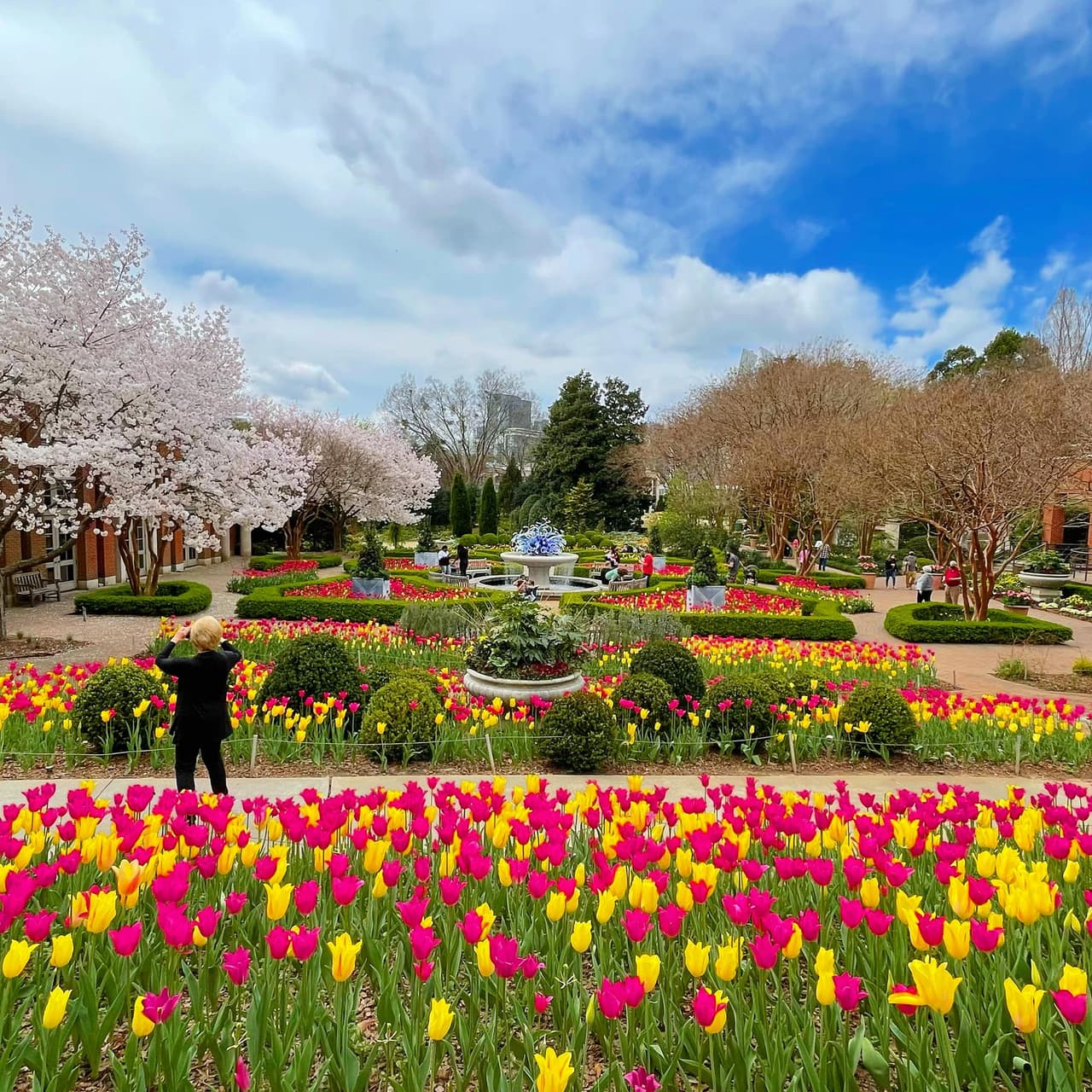 <b>¿FLOR PARA OTRA FLOR?</b> Si fuiste a Piedmont Park no estás lejos del 
<b><a href="https://atlantabg.org/" target="_blank">Jardín Botánico de Atlanta</a></b> y su vertiginosa variedad de plantas y exhibiciones espectaculares. Disfruta de este oasis en el Midtown en todo el esplendor de la primavera. Las temperaturas agradables y el paisaje exuberante lo convierten en una parada necesaria en el Día de la Madre.