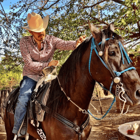 Entre los intérpretes para quienes Joss Favela ha escrito temas se encuentran: Julión Álvarez y su Norteño Banda, Banda Los Recoditos, La Séptima Banda, Voz de Mando, así como Los Invasores de Nuevo León, Noel Torres, Larry Hernández, Jonathan Sánchez y Adriel Favela.