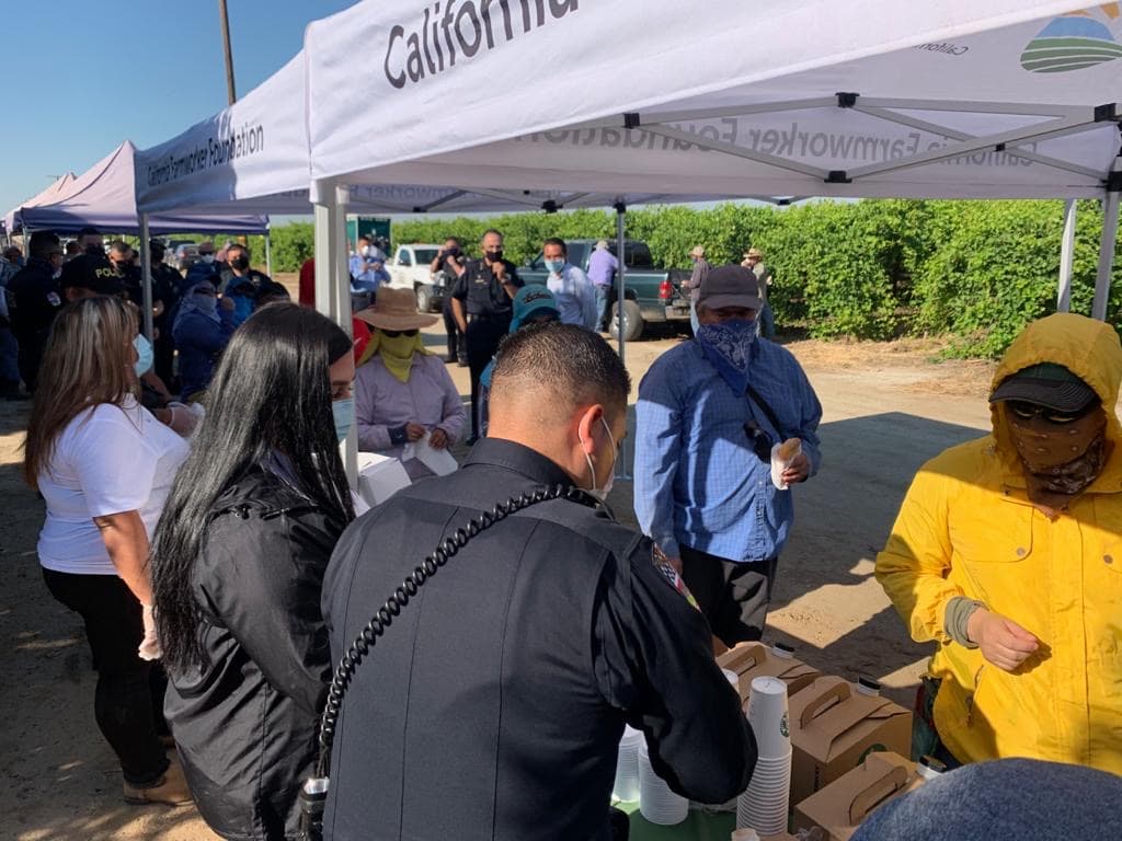 Litros de café y panes dulces repartieron entre al menos 30 campesinos que durante esta mañana laboraban en este campo de Delano.