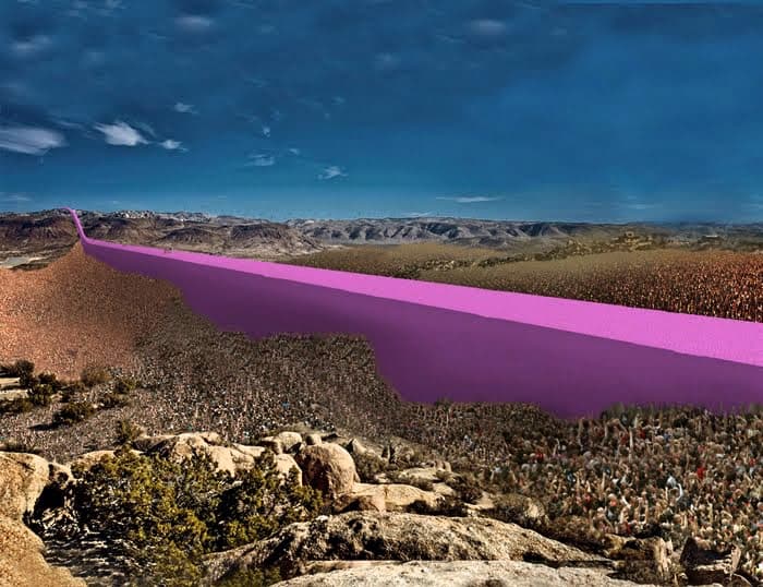 La construcción de un muro implica daño ecológico.