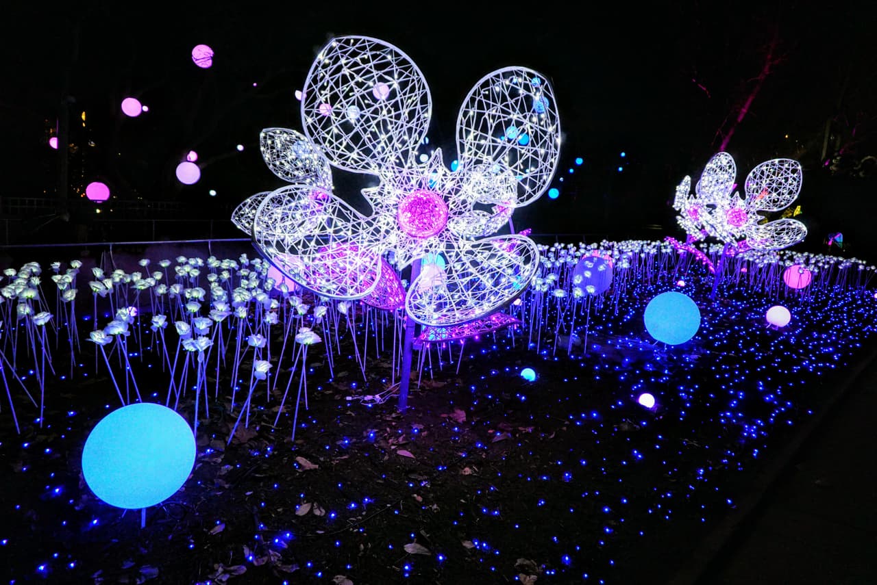 Tu aventura comienza cuando llegas y entras en un hermoso y soñador escenario de orbes encendidos y flores gigantes iluminadas.