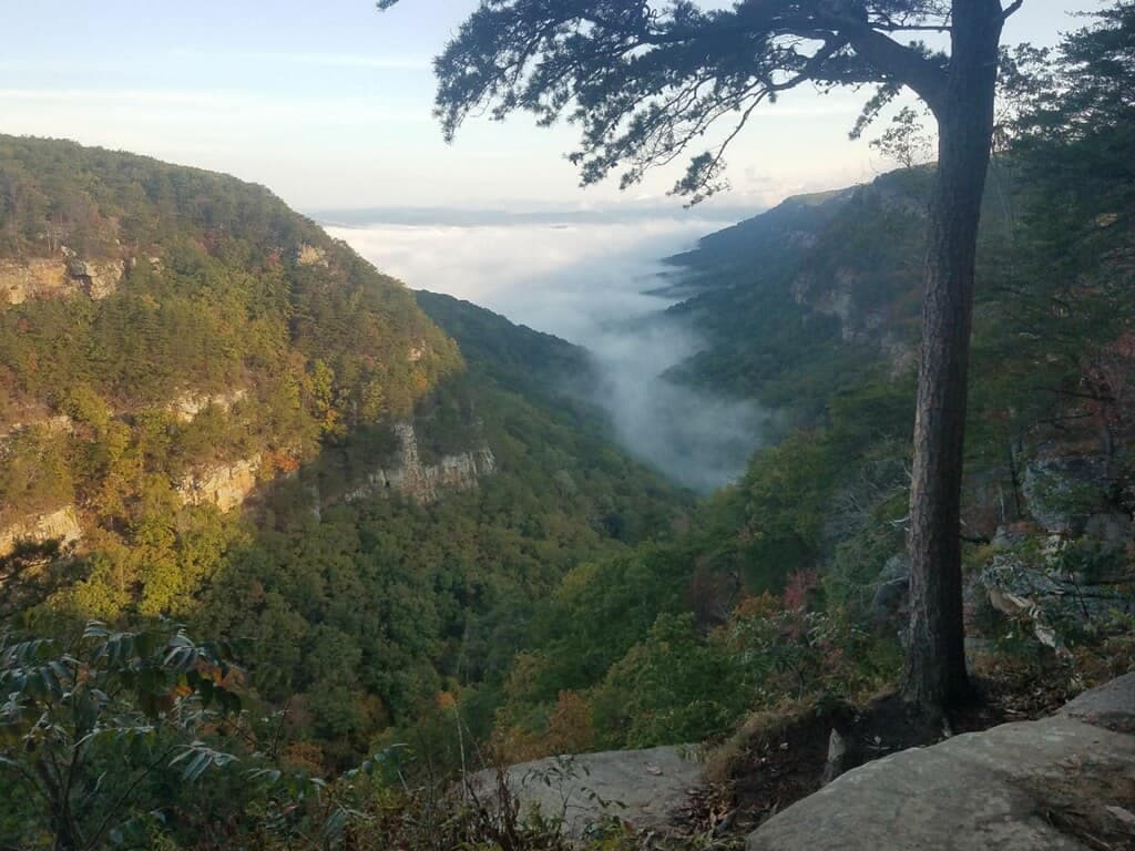 <b>Cloudland Canyon State Park</b>. Uno de los parques más bellos de Georgia y que ofrece miradores de fácil acceso y senderos desafiantes.