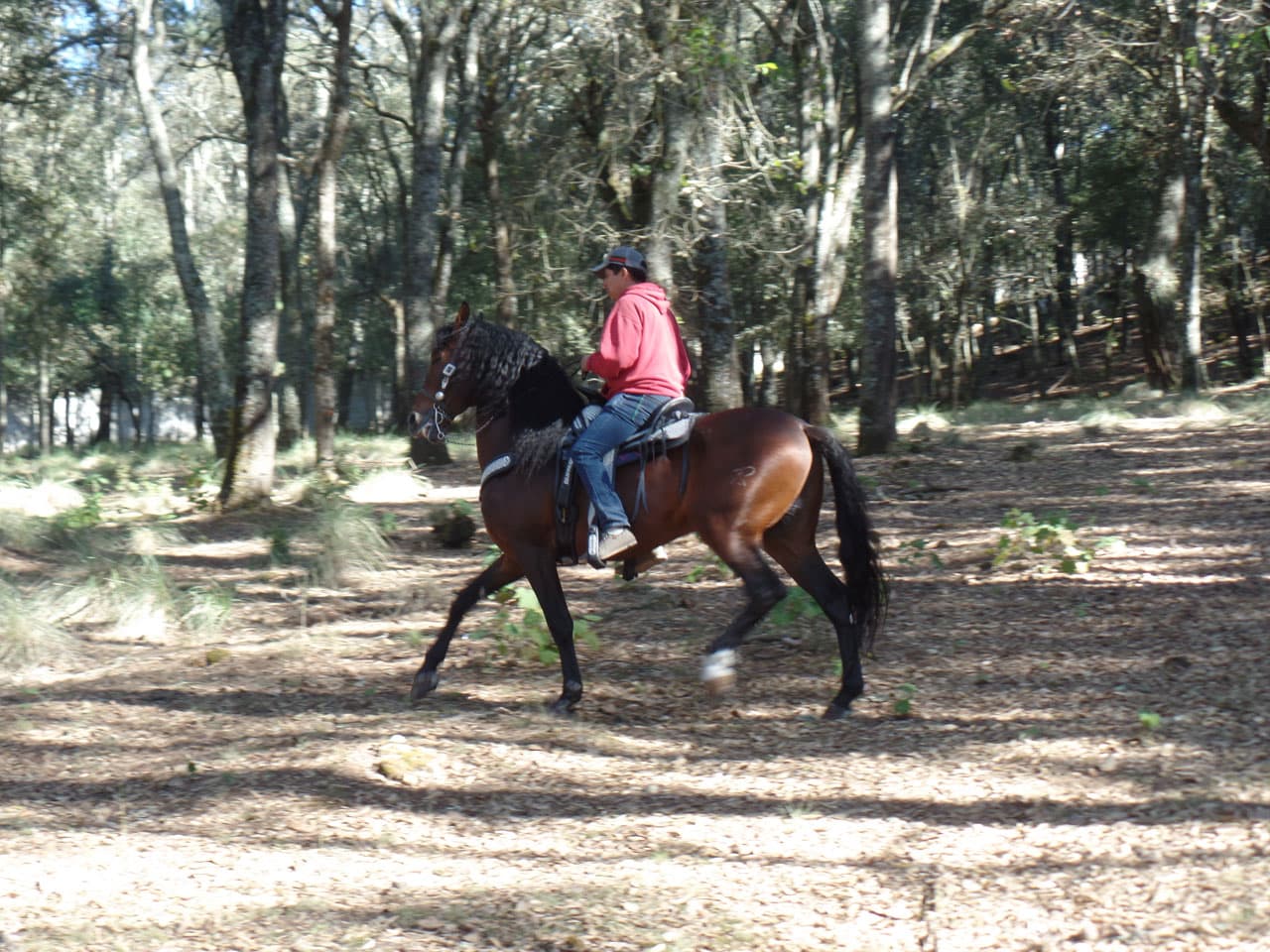 Los caballos que serían parte importante de la escena los mantenían ocupados, éste lo montaría José Manuel.