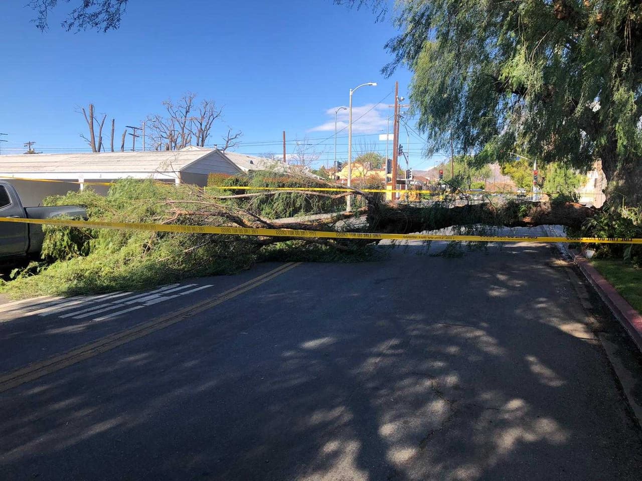 Así mismo, un árbol cayó en medio de la vía en la Ciudad de San Fernando.