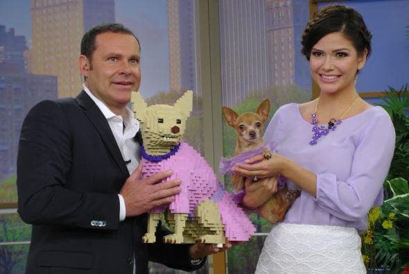 Ella se hizo tan famosa que hasta su propia figura de Lego tenía.