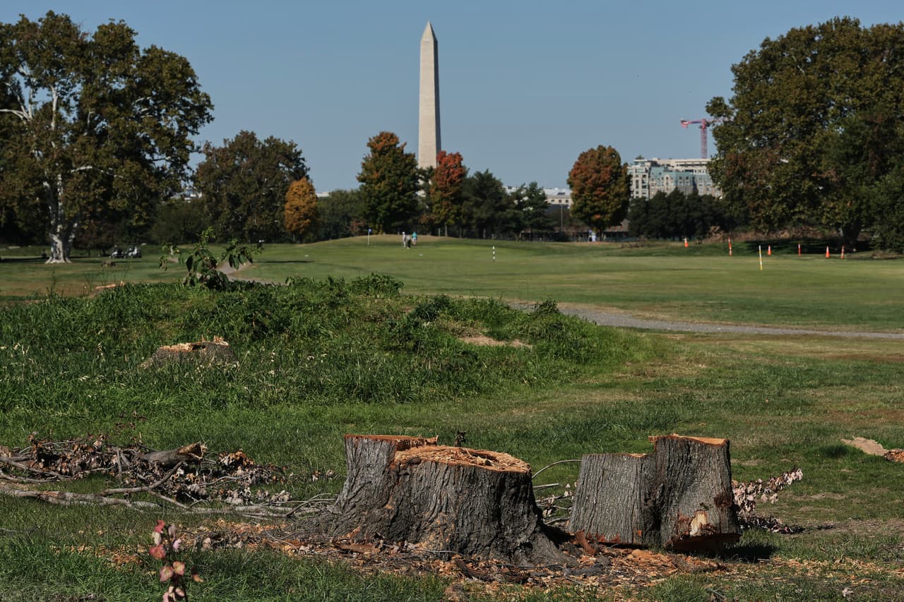 Jueza prohíbe a Trump talar más árboles y exige aviso antes de modificar histórico campo de golf en Washington