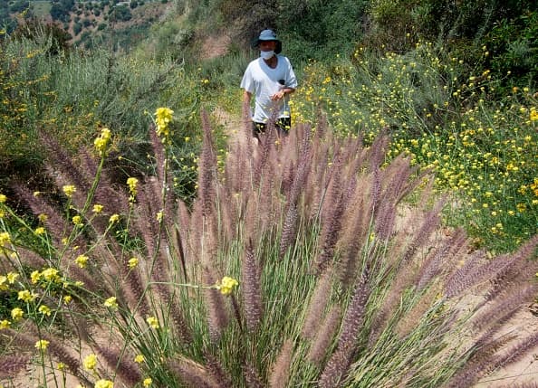 Entre ellas, el distanciamiento social, uso obligatorio de mascarillas, recolección de desechos propios.