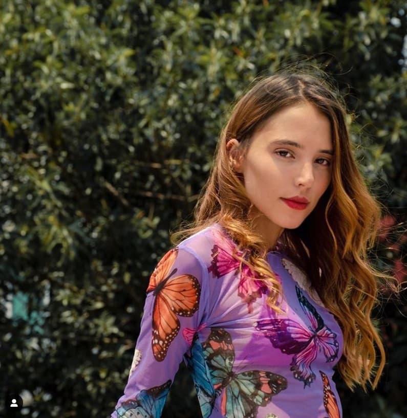 Aunque al inicio la mayor de las primas quiso emprender su carrera como cantante lejos del regional mexicano, desde el año pasado decidió adentrarse en él dado el 'background' que tenía con la historia musical de su familia.
<br>