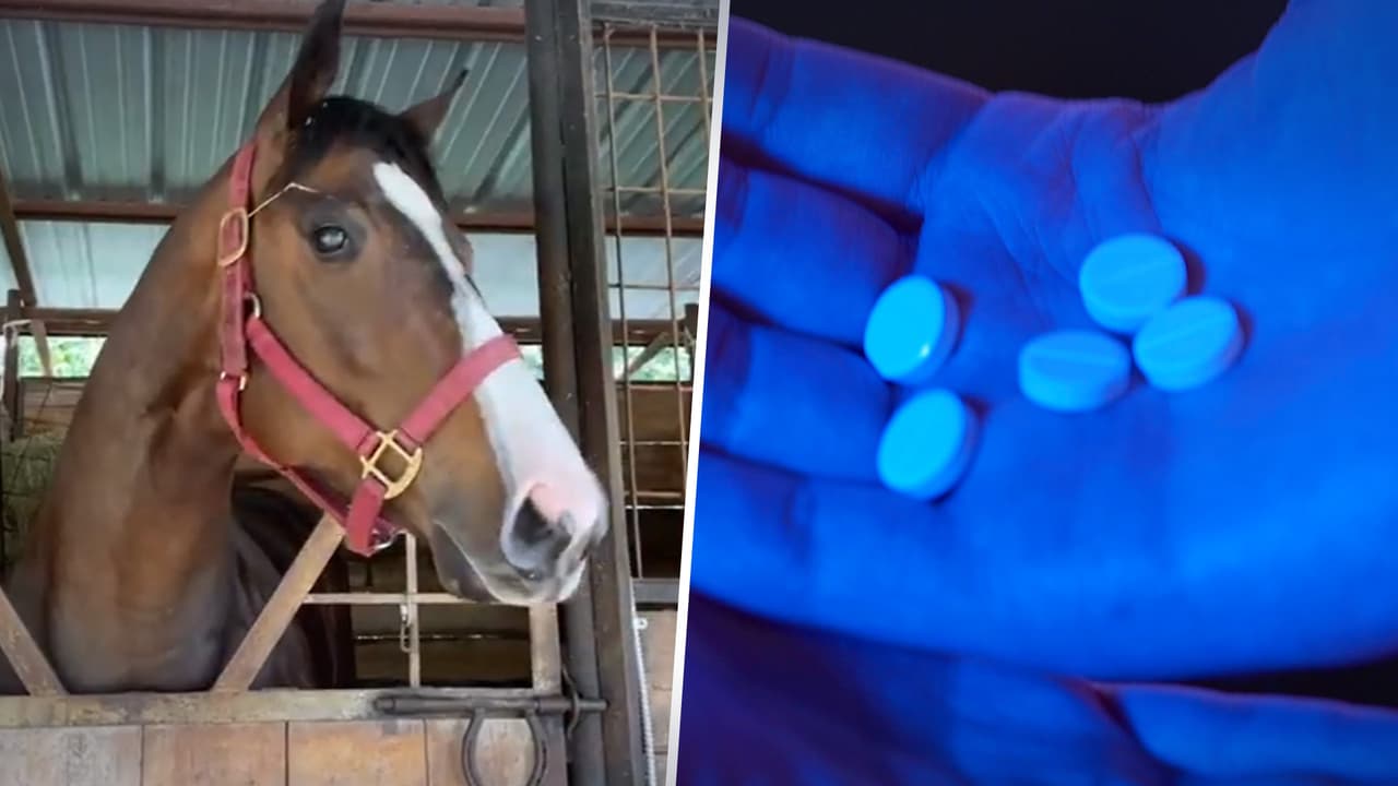 Detectan en Austin droga dañina con sedante de caballos y fentanilo