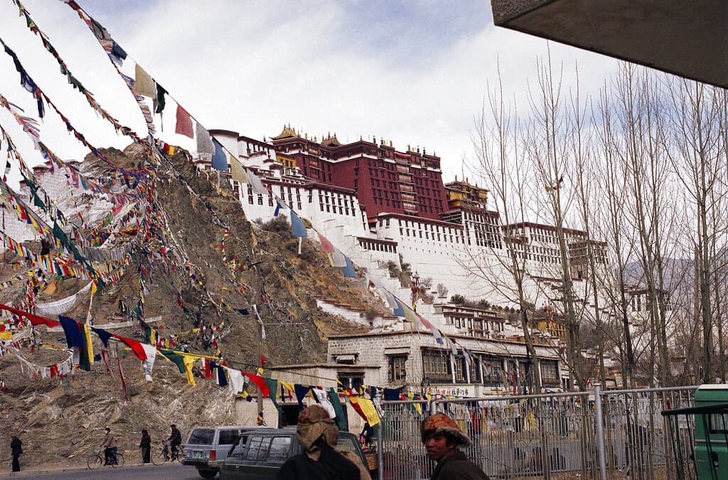 La habitación de su idílico hotel olía mal; había un cadáver bajo la cama