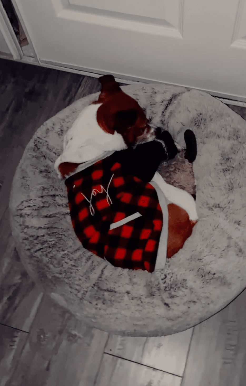 El bebé de Stephanie, tienen hasta tu peluche para dormir. Una verdadera ternurita.