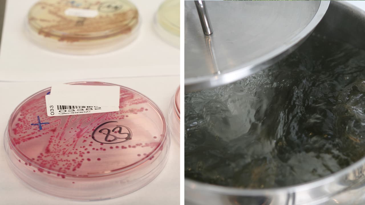 "No hay E. Coli presente": cancelan aviso de hervir el agua en Burlington