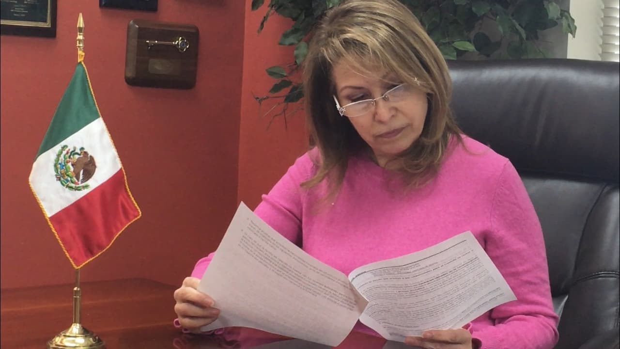 Consul de México para las Carolinas, Remedios Gómez Arnau