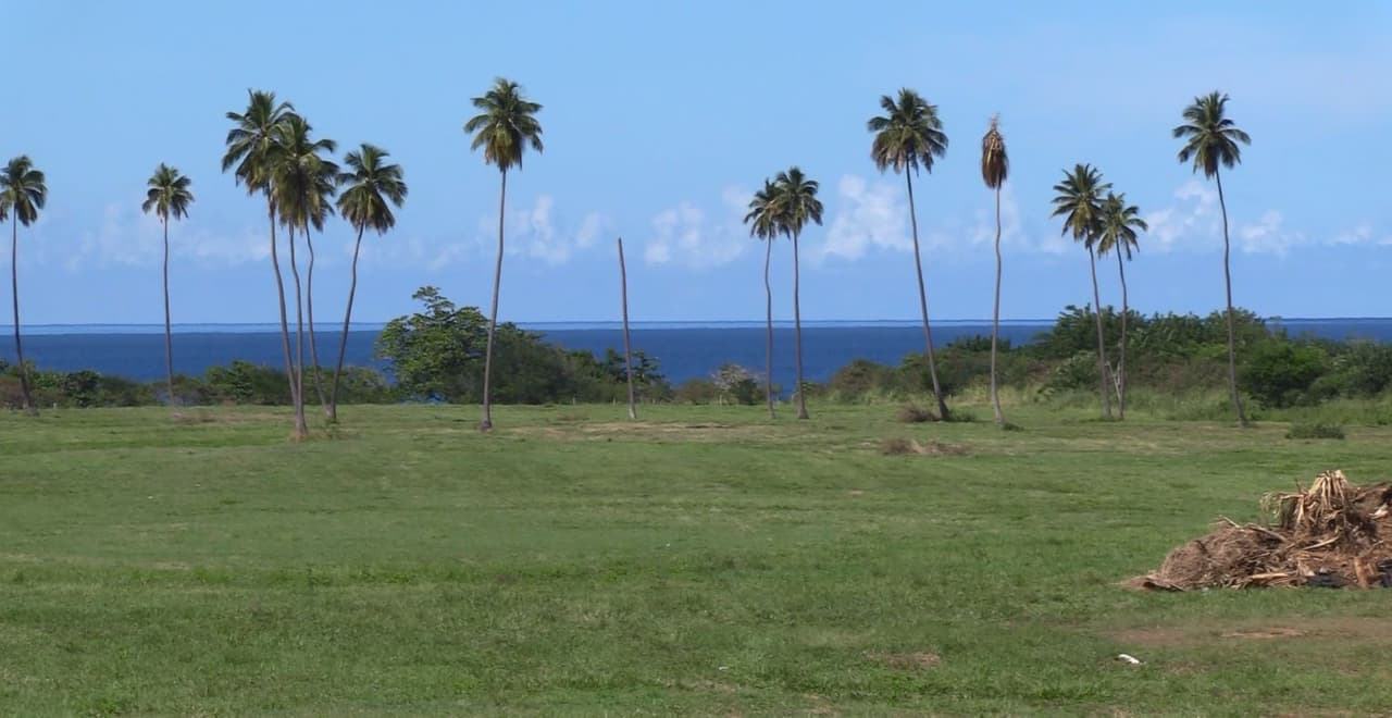 El área de Playuela en Aguadilla alberga más de 500 especies de flora y fauna.