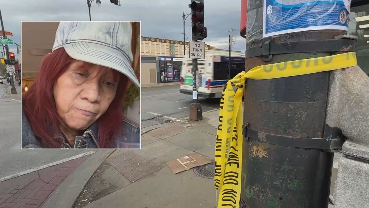 Minerva Martínez, la mujer de 65 años que murió atropellada en Belmont Cragin
