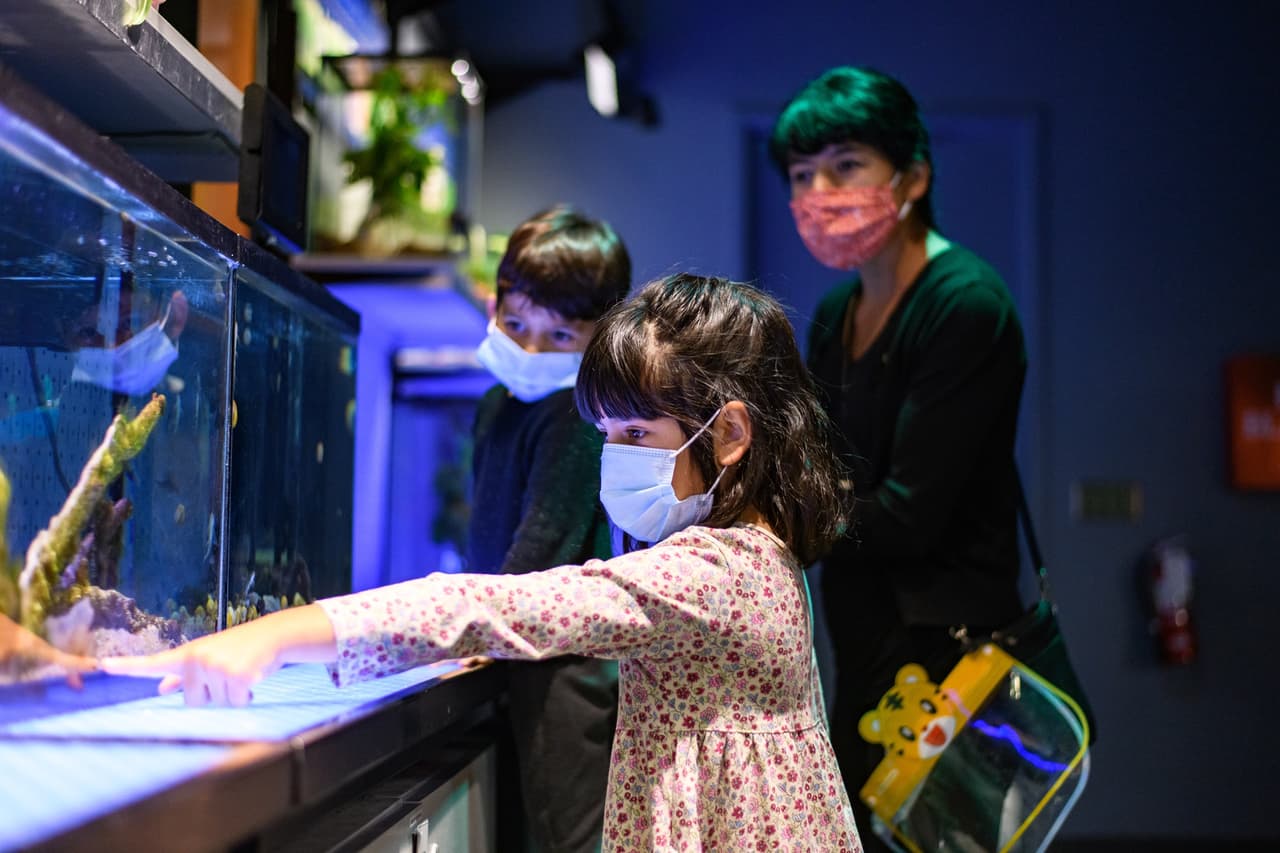<b>Aprende en el Discovery Place Museum: </b>Pasa el día descubriendo la magia de la ciencia en este museo. Las exhibiciones interactivas desafiarán tu creatividad y brindarán horas de entretenimiento. Si te cansas, puedes tomar un pequeño descanso en la sala de cine IMAX.
<br>