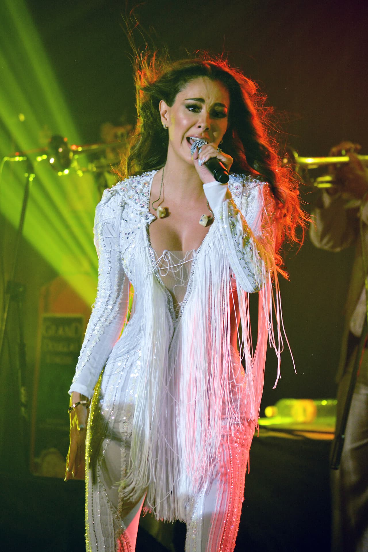 Con cuatro discos de estudio, Ninel Conde se ha ganado un lugar en el regional mexicano que le ha valido ser parte de las Fiestas Patrias en México en distintas localidades del país.