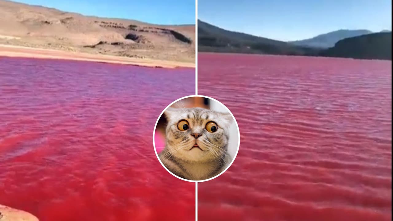 ¿Mal augurio bíblico? Qué hay detrás del "río Nilo" teñido de rojo sangre que desató pánico en redes
