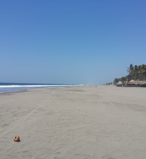 Playa Puerto Arista, en Tonalá, es la más contaminada del estado de Chiapas, con 134 NMP/100 ml.
<br>