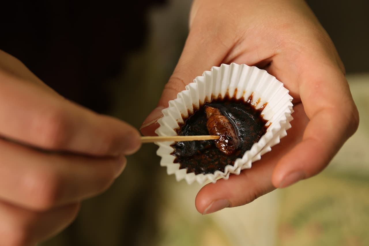 "Las cigarras no pican ni muerden. Las cigarras no son tóxicas", dijo el Centro de Medicina Veterinaria de la 
<a href="https://twitter.com/FDAanimalhealth/status/1397219770727116803" target="_blank">FDA en un tuit a fines del mes pasado</a>. Aún así, su "exoesqueleto crujiente puede irritar el revestimiento del estómago si se come en grandes volúmenes y puede ser un peligro potencial de asfixia, especialmente para perros pequeños".
<br>