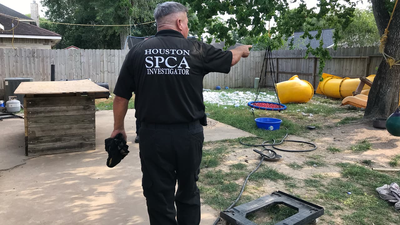 Las autoridades recuerdan que dejar a las mascotas en situaciones límites sin la atención debida, es crueldad animal y es castigable por la ley. Si usted quiere reportar un incidente como este puede llamar a Houston SPCA al 713-869-7722.