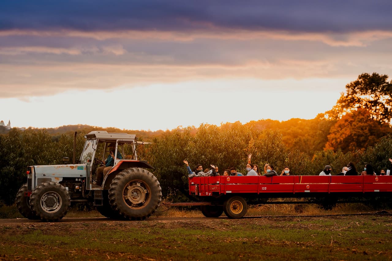 <b><a href="https://www.linvilla.com/">Número 5: Linvilla Orchards (Media)</a></b>. Linvilla Orchards, a unas 30 millas de Filadelfia, es una granja familiar de 300 acres dedicada a la agricultura, el medio ambiente y la educación. El mercado agrícola vende una amplia gama de productos frescos y especialidades gourmet.