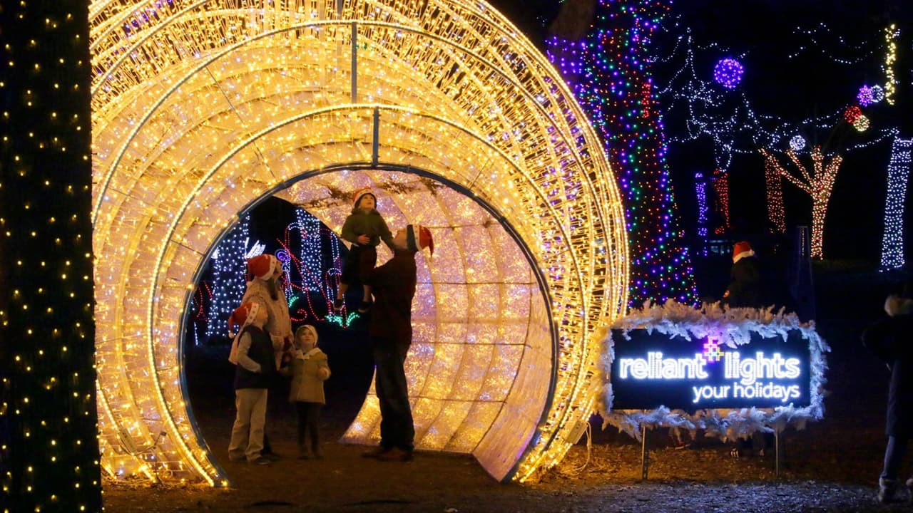 <h3 class="cms-H3-H3">ZOO LIGHTS EN EL DALLAS ZOO</h3>
<br>A diferencia del año anterior, ahora podrás recorrerlo caminando y de noche en 
<b>un horario de 5:30 pm a 10:00pm. </b>
<br>
<b>¿Cuándo? </b>Del 17 de noviembre al 1 de enero 
<br>
<b>¿Dónde?</b> 
<a href="https://www.google.com/maps/place/Dallas+Zoo/@32.7405294,-96.8173395,18z/data=!3m1!4b1!4m5!3m4!1s0x864e9996787fa081:0xe12b3f83f562c8d2!8m2!3d32.7405294!4d-96.816241" target="_blank">650 S.R.L. Thornton Freeway</a>, Dallas
<br>
<b>Precio de los tickets para Zoo Lights: </b>Van de los $14 a los $21 y 
<a href="https://zoolights.dallaszoo.com/guests" target="_blank">aquí compras los boletos. </a>