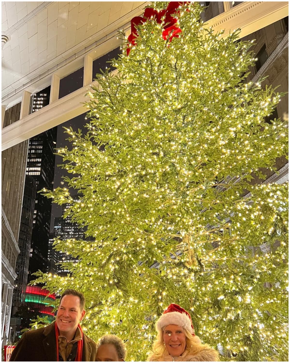 🎄Wrigley Building
<br>📍400-410 North Michigan Avenue
<br>❄️El rascacielos situado al otro lado de la Michigan Avenue, frente a la Tribune Tower en la Magnificent Mile, puede presumir su iluminado árbol de navidad. Es una parada obligatoria para todos las personas que están de vacaciones o viven en Chicago, ya que no te puedes perder ver la iluminación de este árbolito navideño.