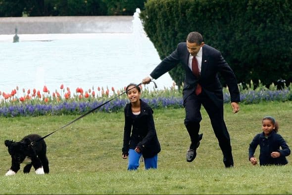 El perro de agua portugués fue un regalo del senador Ted Kennedy para las hijas de Obama.