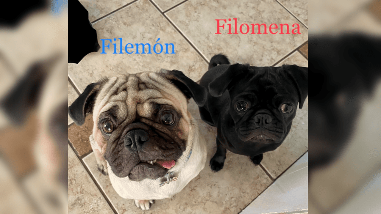 Las ternuritas; Filemón y Filomena de María González.
<br>