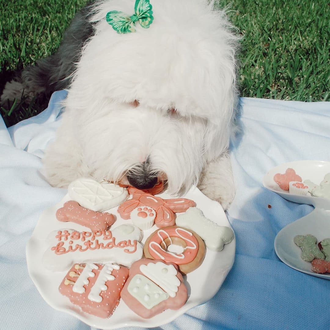 Luna tiene un gran significado en la vida de la conductora venezolana y su familia, pues comparte cumpleaños con su abuela.