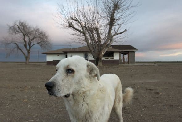Por ejemplo, la guardia y protección que deben desarrollar con su hogar y familia.