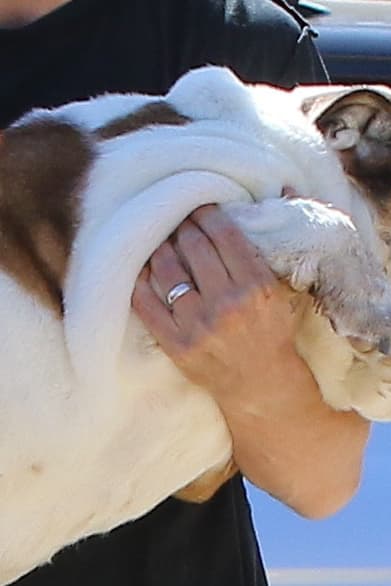 Una argolla súper sencilla.